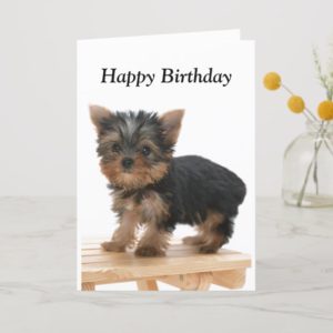 Yorkshire Terrier dog puppy custom birthday card