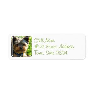 Yorkshire Terrier Dog Return Address Label
