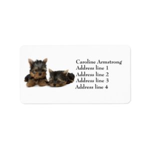 Yorkshire Terrier dogs puppy custom address labels
