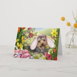 Yorkshire Terrier Easter Cards