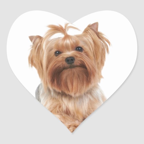 Yorkshire Terrier Heart Sticker