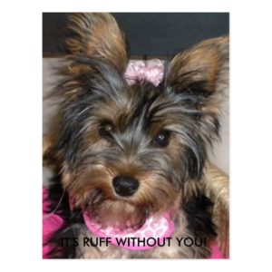 Yorkshire Terrier, IT'S RUFF WITHOUT YOU! Postcard