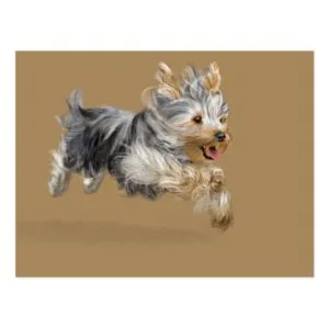 Yorkshire Terrier "Joy" Postcard