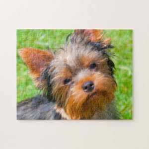 Yorkshire Terrier looking up Jigsaw Puzzle