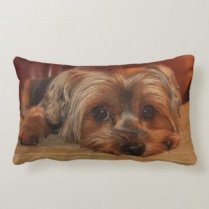 Yorkshire Terrier Lumbar  Pillow