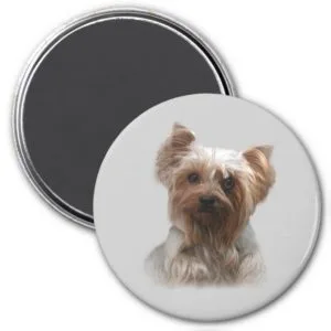 Yorkshire Terrier Magnet