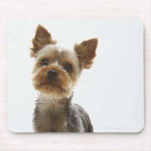 Yorkshire Terrier Mouse Pad