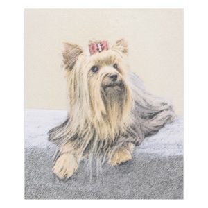 Yorkshire Terrier Painting - Cute Original Dog Art Fleece Blanket