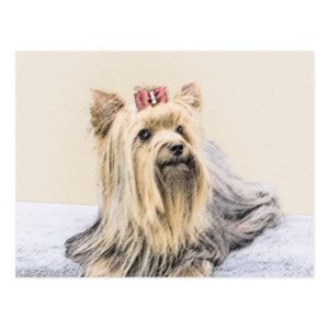 Yorkshire Terrier Painting - Cute Original Dog Art Postcard