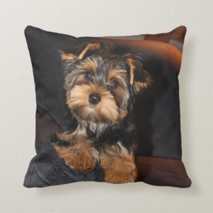 Yorkshire Terrier pillow