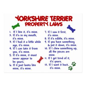YORKSHIRE TERRIER Property Laws 2 Yorkie Postcard