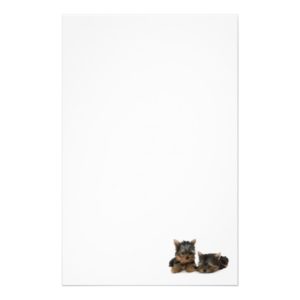 Yorkshire Terrier Puppies Stationery