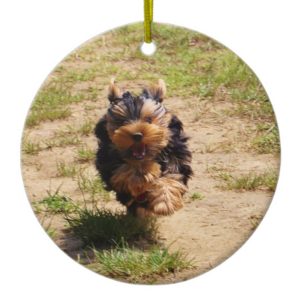 Yorkshire terrier running ceramic ornament