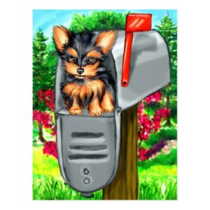 Yorkshire Terrier Special Delivery Postcard