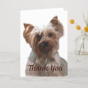 Yorkshire Terrier Thank You Card