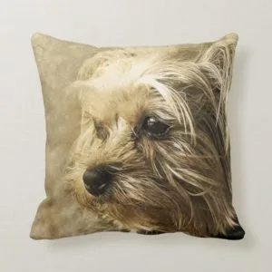 Yorkshire Terrier Throw Pillow