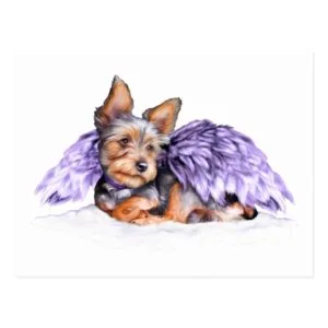 Yorkshire Terrier Yorkie Angel Postcard