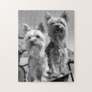 Yorkshire Terriers, Black and White, Jigsaw Puzzle