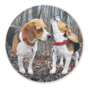 Young Beagles Woodland Ceramic Knob