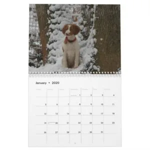 2012 Brittany Calendar