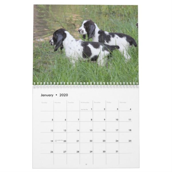 2013 English Springer Spaniel Pups Calendar