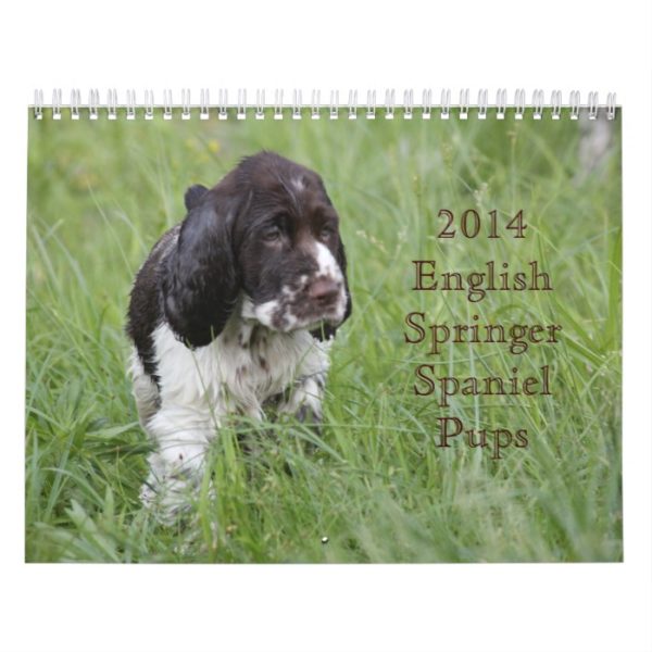 2014 English Springer Spaniel Pups Calendar