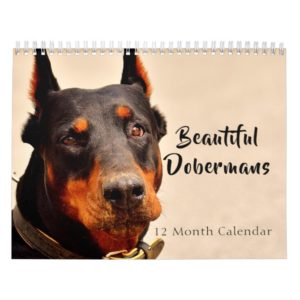2019 Beautiful Dobermans Calendar