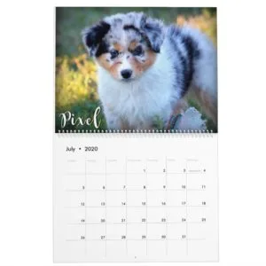 2019 Sky Blue Aussies - Upcoming Stars Calendar