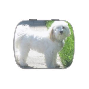 2 Havanese full.png Candy Tin