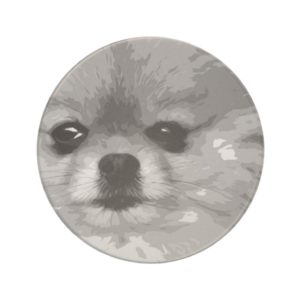 A black and white Pomeranian Drink Coaster