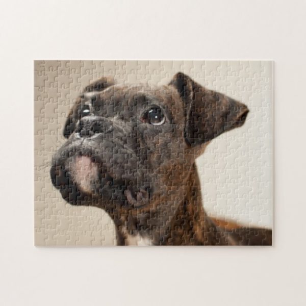 A Brindle Boxer puppy looking up curiously. Jigsaw Puzzle