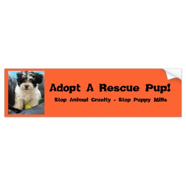 Adopt A Rescue Pup! Bumper Sticker