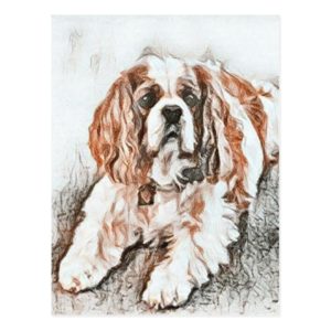 Adorable Cavalier King Charles Spaniel Sketch Postcard