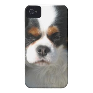 Adorable King Charles Spaniel Case-Mate iPhone Case