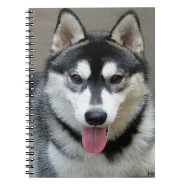 Alaskan Malamute Dog Photograph Notebook