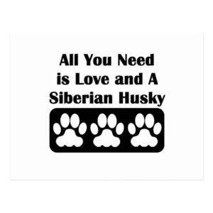 All You Need is Love and A Siberian Husky Postcard