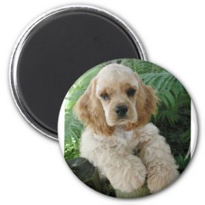 American Cocker Spaniel Dog And The Green Fern Magnet