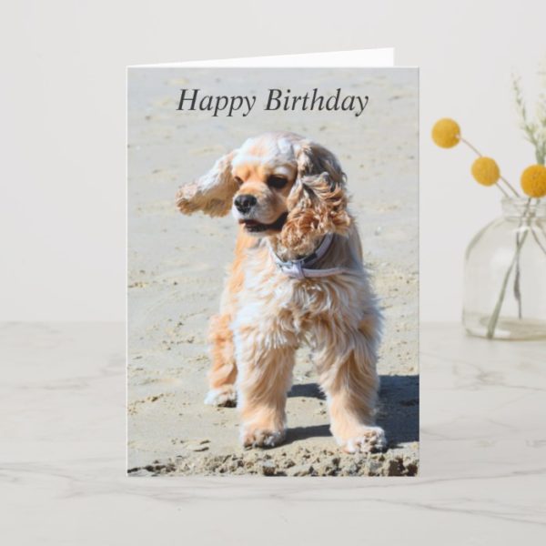 American Cocker Spaniel dog custom birthday card