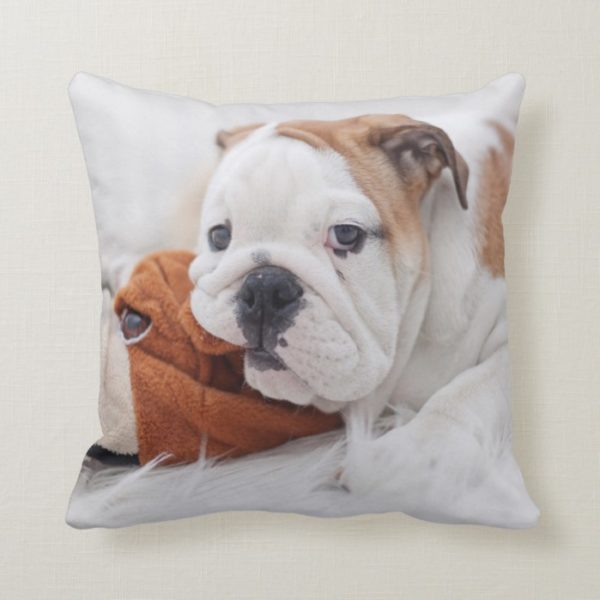 An English Bulldog Puppy Playing With A Bulldog Throw Pillow