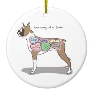 Anatomy of a Boxer Dog gifts Ceramic Ornament