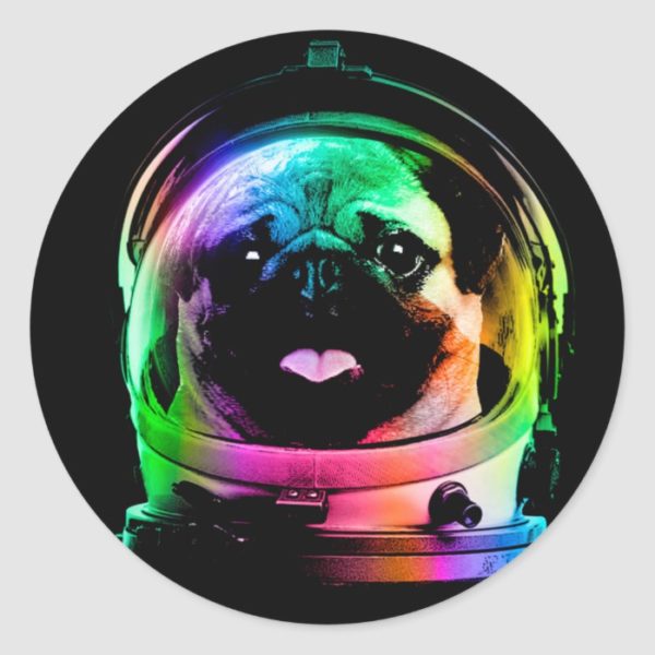 Astronaut pug - galaxy pug - pug space - pug art classic round sticker