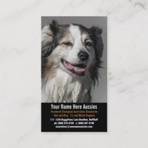 Aussie Dog Breeder Australian Shepherds Business Card