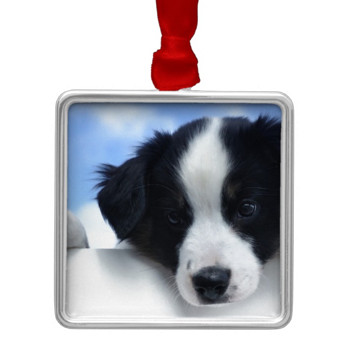 Australian Sheepdog Puppy Metal Ornament