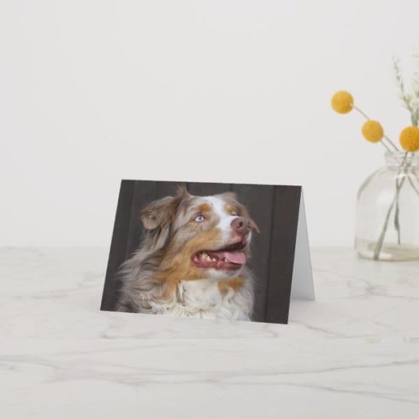 Australian Shepherd Aussie Puppy Dog  Love Hello Card