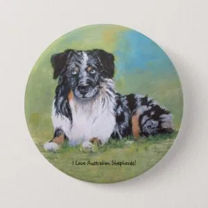 Australian Shepherd, beautiful blue merle! Pinback Button
