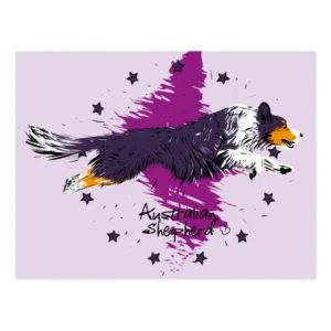 Australian Shepherd, black trichloroethylene Postcard
