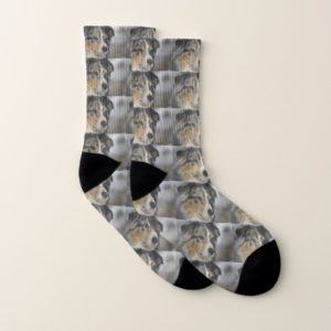 australian-shepherd-blue merle 2 socks