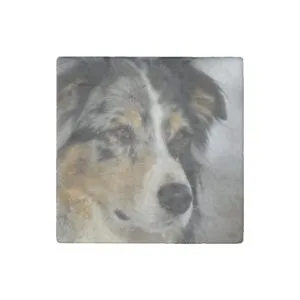 australian-shepherd-blue merle 2 stone magnet