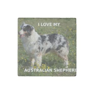 australian shepherd blue merle love w pic stone magnet