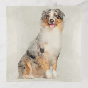 Australian Shepherd - Blue Merle Watercolor Trinket Trays